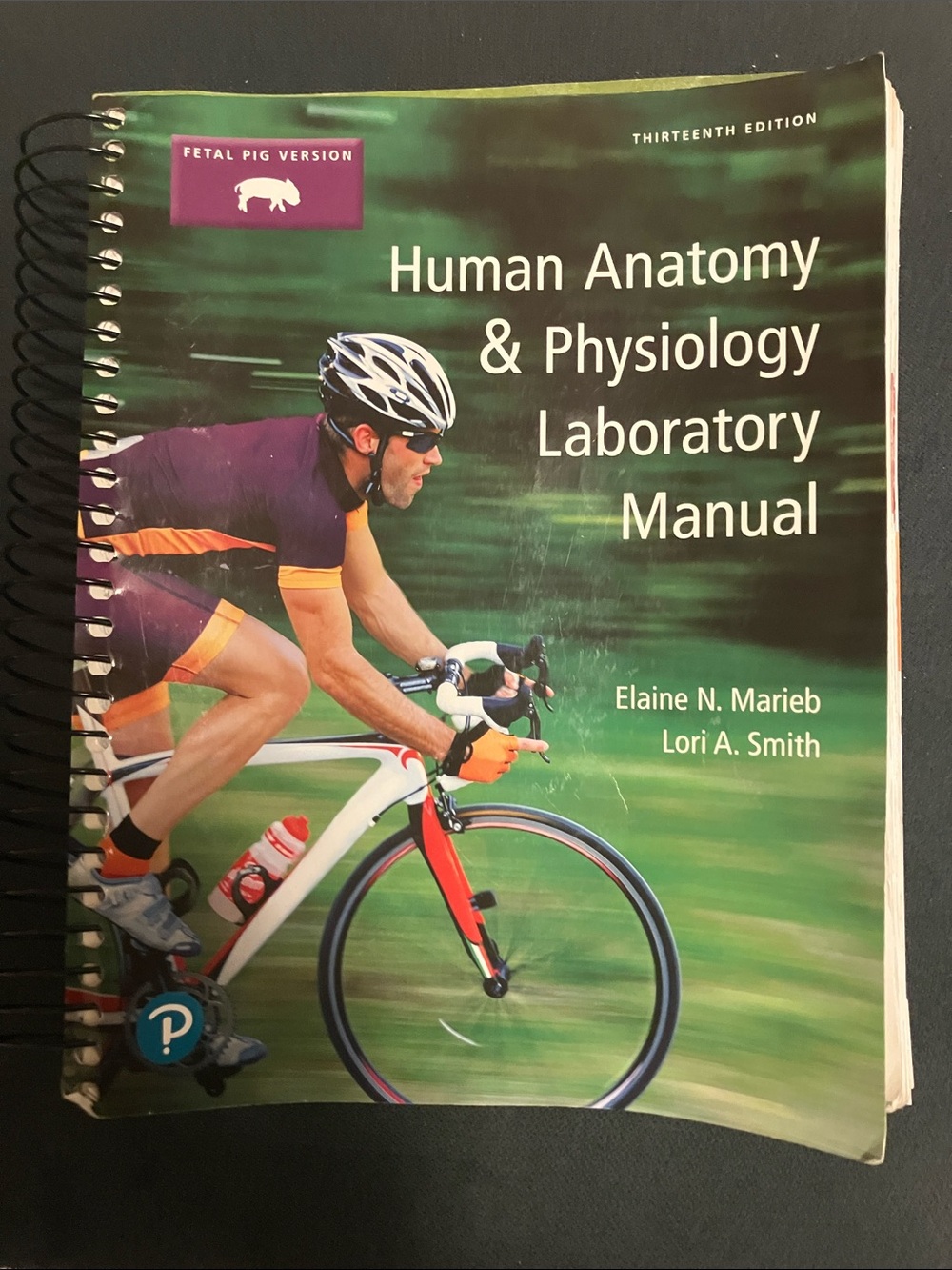 Pearson Human Anatomy & Physiology Manual in Green and Red
